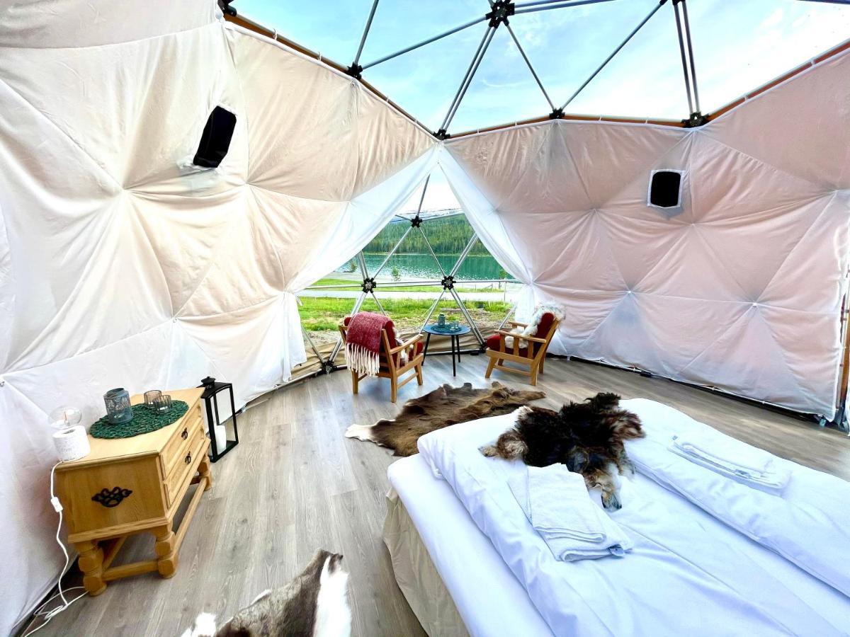 Reinheimen Lodge Skjåk Dış mekan fotoğraf