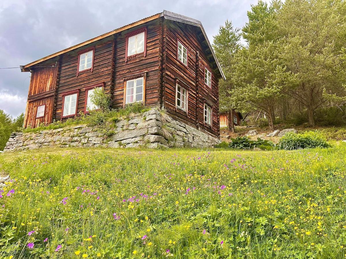 Reinheimen Lodge Skjåk Dış mekan fotoğraf