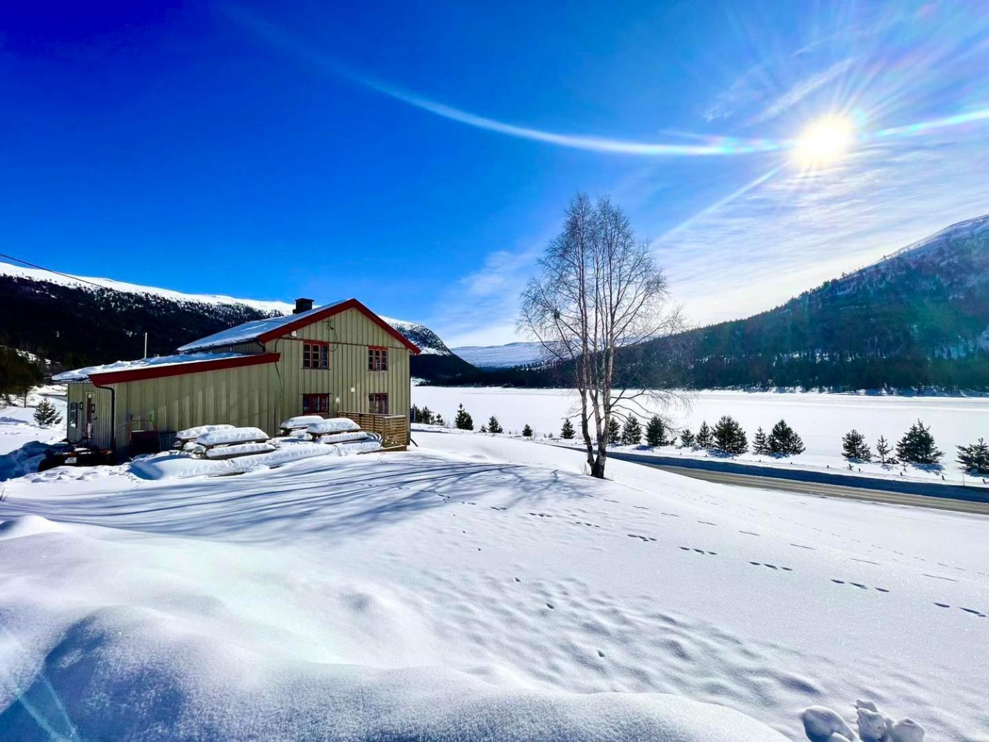 Reinheimen Lodge Skjåk Dış mekan fotoğraf