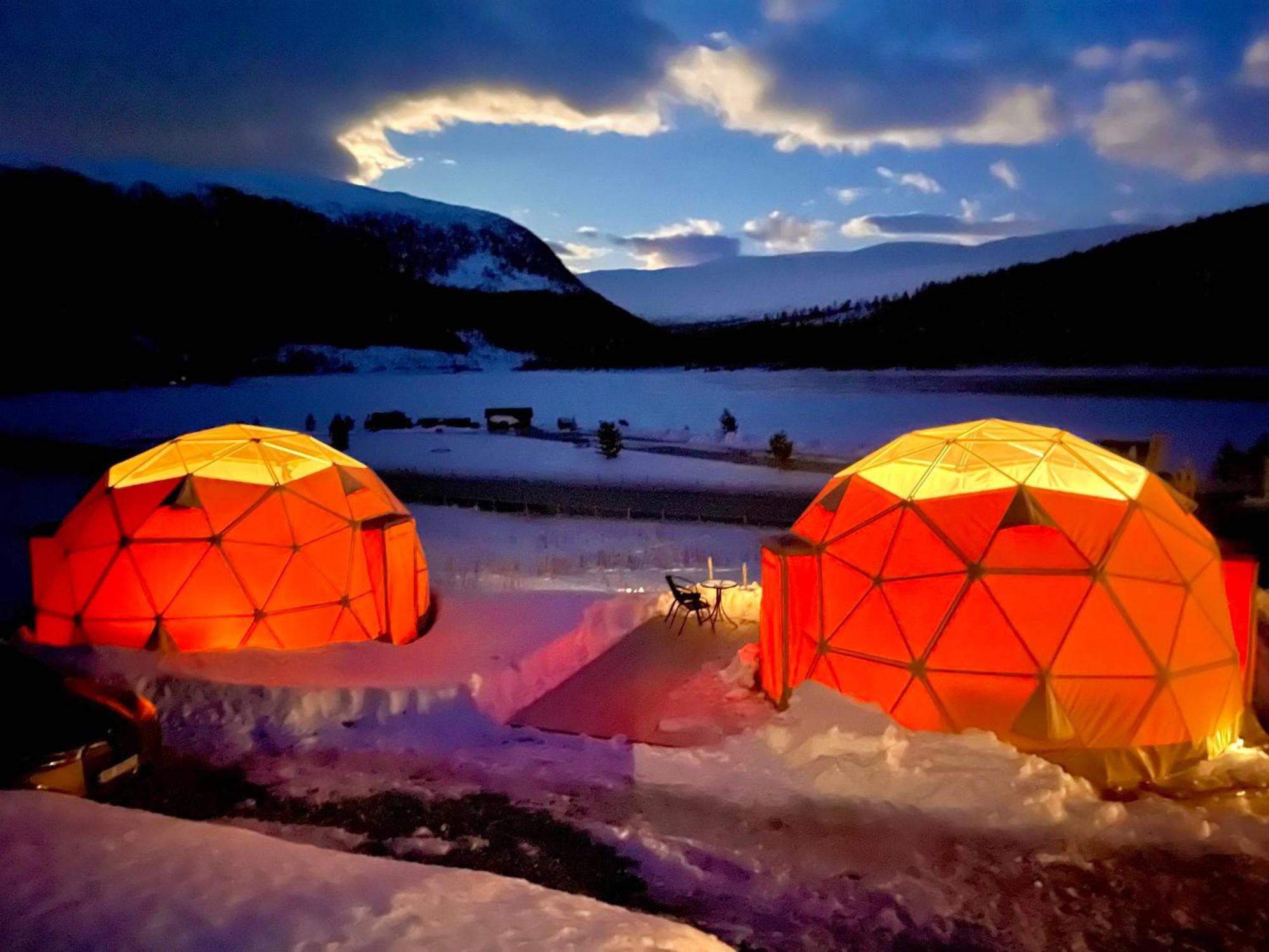 Reinheimen Lodge Skjåk Dış mekan fotoğraf