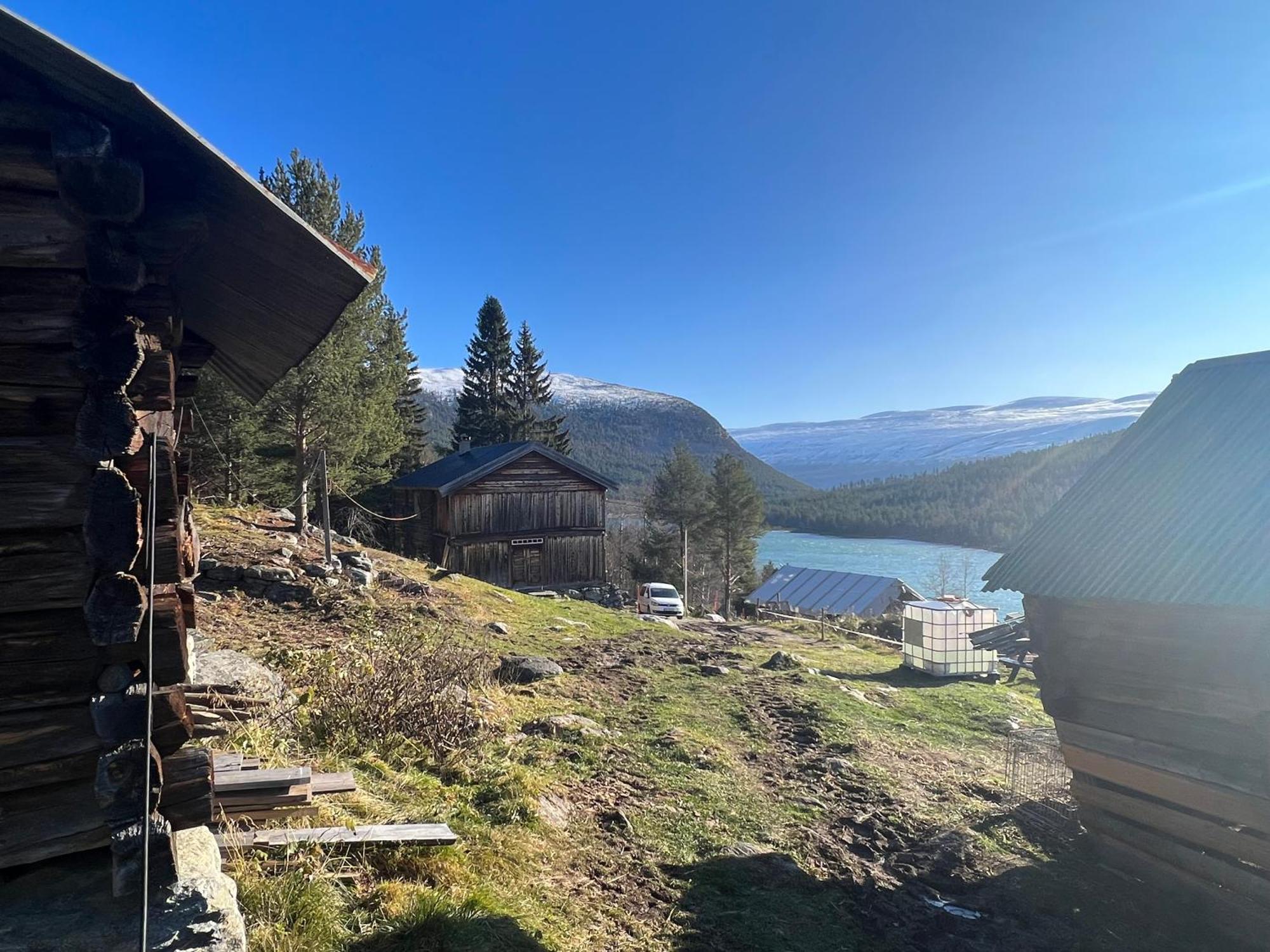 Reinheimen Lodge Skjåk Dış mekan fotoğraf