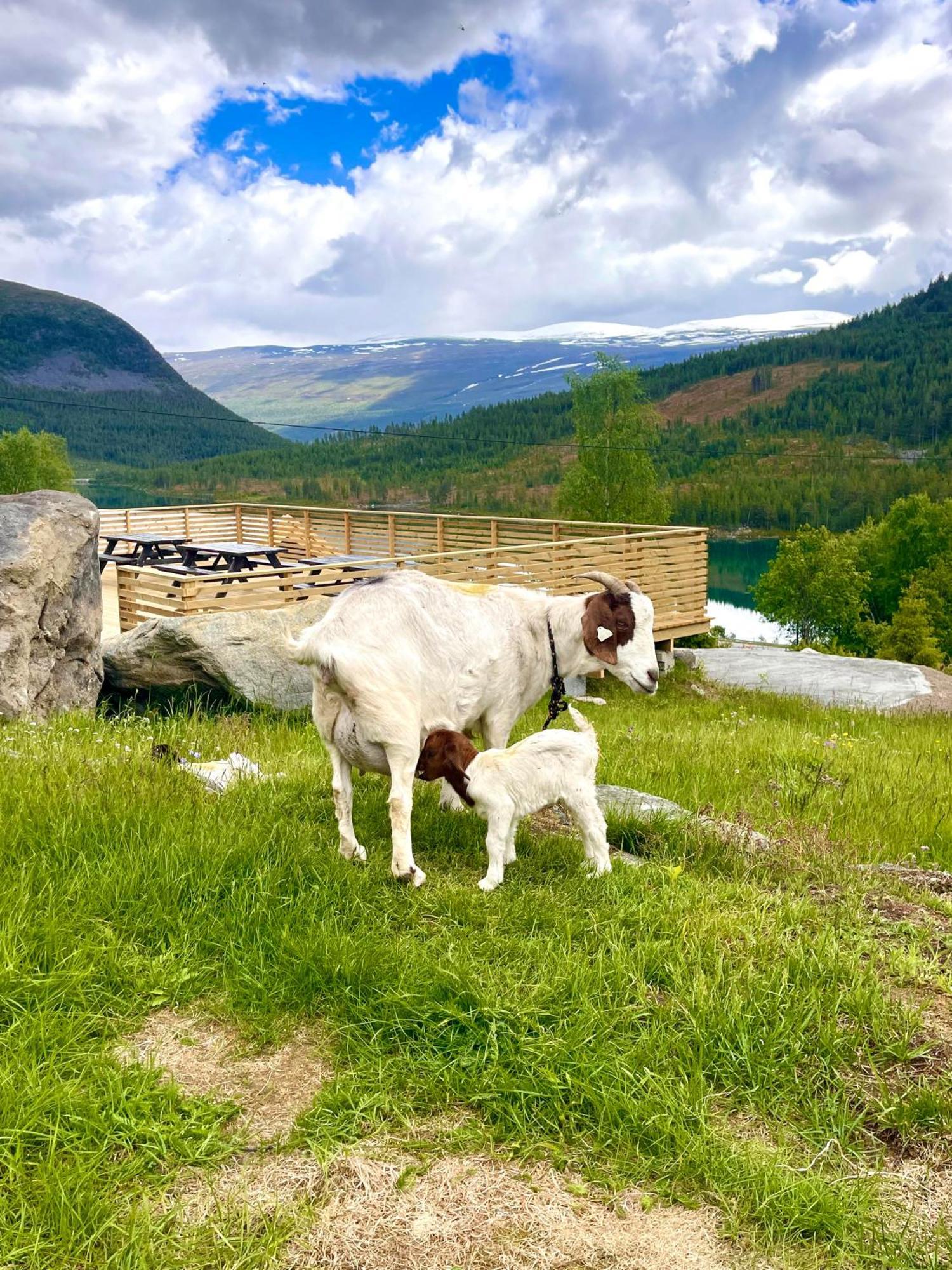 Reinheimen Lodge Skjåk Dış mekan fotoğraf